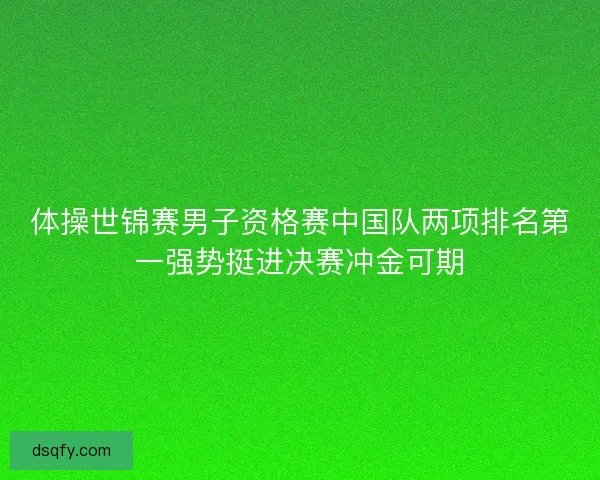体操世锦赛男子资格赛中国队两项排名第一强势挺进决赛冲金可期 体操世锦赛男子资格赛中国队两项排名第一强势挺进决赛冲金可期